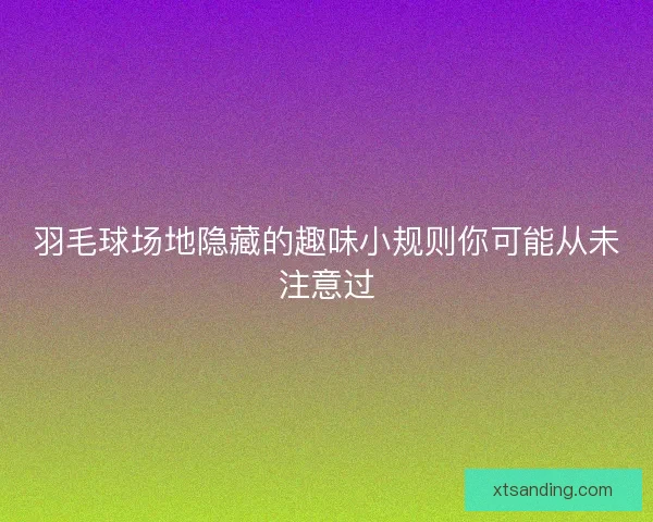 羽毛球场地隐藏的趣味小规则你可能从未注意过